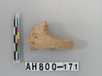 藏品(獸骨殘骸)的圖片